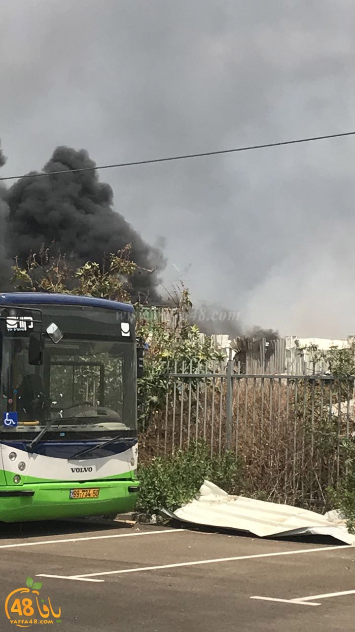 firbus eastyaffa (22).jpg